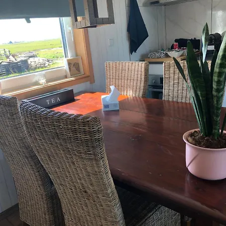 Bb Saari De Woude