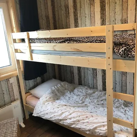 Bb Saari